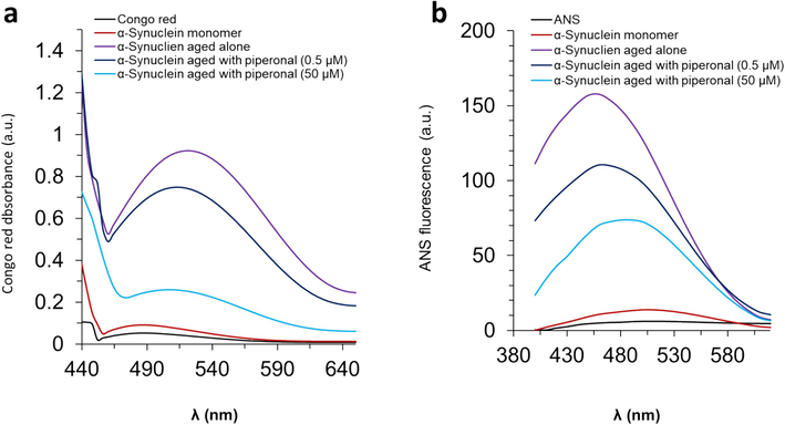 (a) Congo red absorption assay of α-synuclein samples incubated with different concentrations (0.5 and 50 µM) of piperonal for 72 h. (b) ANS emission intensity assay of α-synuclein samples incubated with different concentrations (0.5 and 50 µM) of piperonal for 72 h.