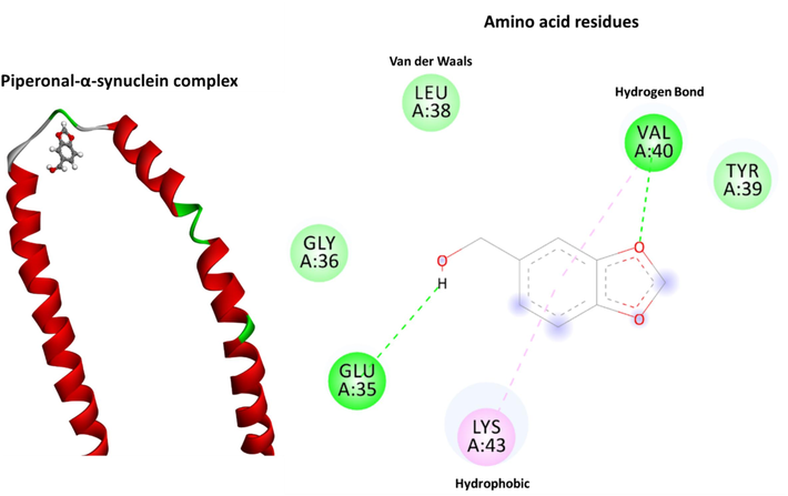 The docking conformation of the piperonal-α-synuclein system analyzed by AutoDock. Molecular interactions between the piperonal and residues of the protein are provided with the Discovery Studio.