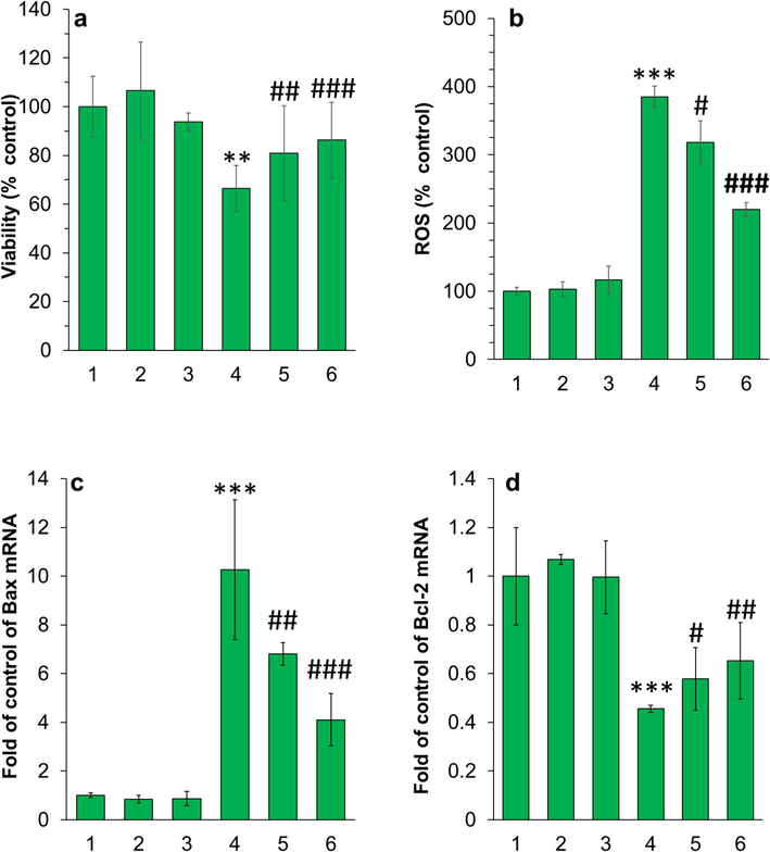 (a) MTT assay, (b) ROS assay, (c, d) real-time PCR for evaluation of the cytotoxic effect of different species on PC12 cells. The cells were incubated with different samples for 24 h. For both protein and piperonal samples, the final concentration was diluted at 5 µM. The protein samples were withdrawn after 10 h (corresponding to the formation of neurotoxic oligomers) and used for cellular assays. The data were reported as mean ± SD of three experiments. *P<0.05, **P<0.01, ***P<0.001 relative to control (negative treated cells). #P<0.05, ##P<0.0, and ###P<0.001 relative to control (α-synuclein samples incubated alone). 1: control cells, 2: piperonal, 3: α-synuclein monomer, 4: α-synuclein samples incubated alone in aggregation condition, 5: α-synuclein samples incubated with piperonal (0.5 µM) in aggregation condition, 6: α-synuclein samples incubated with piperonal (50 µM) in aggregation condition.