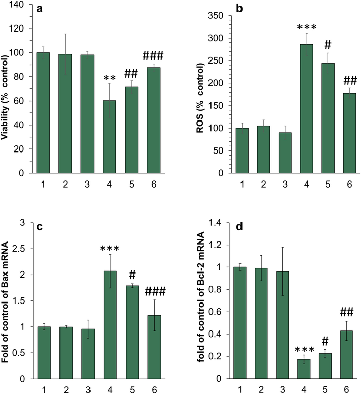 (a) MTT assay, (b) ROS assay, (c, d) real-time PCR for evaluation of the cytotoxic effect of different species on ARPE-19 cells. The cells were incubated with different samples for 24 h. For both protein and piperonal samples, the final concentration was diluted at 5 µM. The protein samples were withdrawn after 10 h (corresponding to the formation of neurotoxic oligomers) and used for cellular assays. The data were reported as mean ± SD of three experiments. **P<0.01, ***P<0.001 relative to control (negative treated cells). #P<0.05, ##P<0.0, and ###P<0.001 relative to control (α-synuclein samples incubated alone). 1: control cells, 2: piperonal, 3: α-synuclein monomer, 4: α-synuclein samples incubated alone in aggregation condition, 5: α-synuclein samples incubated with piperonal (0.5 µM) in aggregation condition, 6: α-synuclein samples incubated with piperonal (50 µM) in aggregation condition.