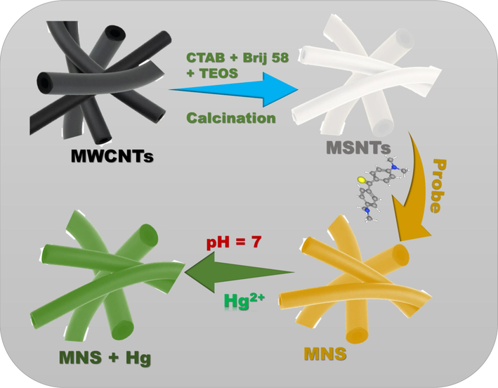 Schematic representation of MSNTs formation, probe immobilization on the MSNTs structure, and the optical signalling response of the MNS towards Hg2+ ions.