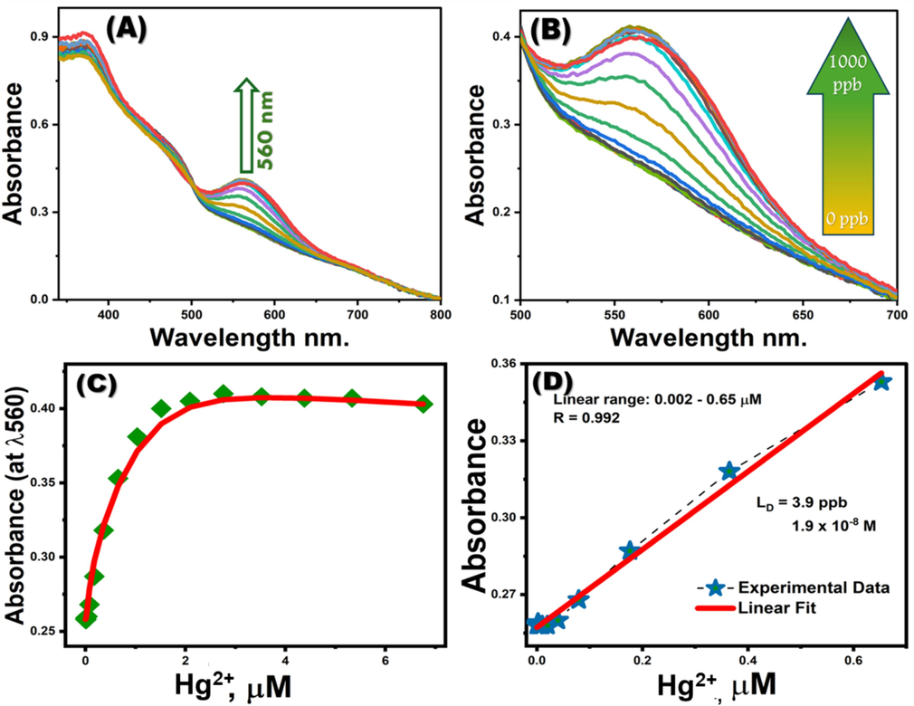 (A, B) Absorption spectra of MNS optical chemosensors titrated with Hg2+ ions. (C) Calibration curves for MNS optical chemosensors, measured at λ560nm. (D) Linear-fit line within the linear concentration range of the calibration plots for MNS optical chemosensors at λ560nm with varying Hg2+ concentrations.