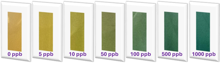 Captured input pics for the DICA, showcasing the complexation between Hg2+ and the MNS probe across various concentrations.