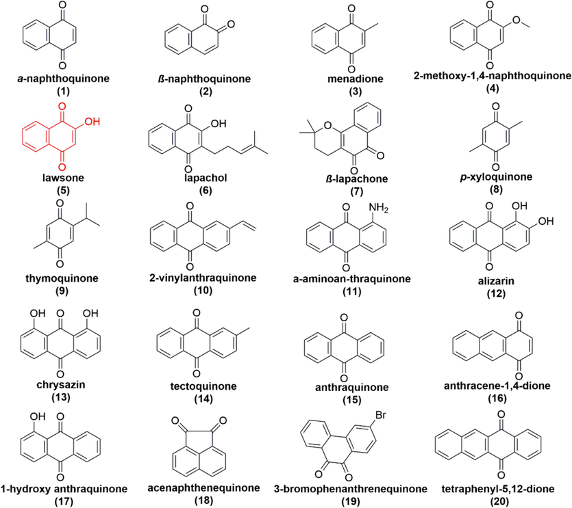 The structures of the top 20 molecules in score.