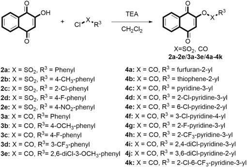 Synthesis route of the target compounds 2a − 2e, 3a − 3e and 4a − 4 k.
