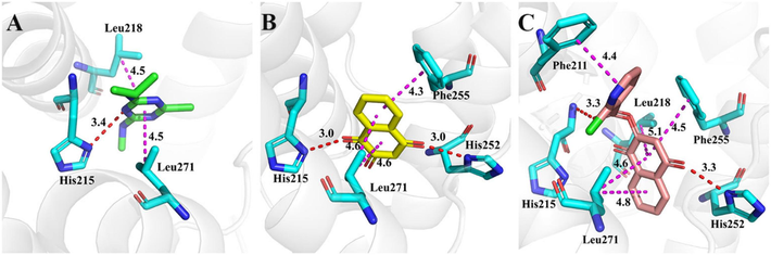 Binding models of the commercial herbicide Atrazine (A), Lawsone (B) and compound 4d (C) with PsD1 (PDB: 5XNL). The purple line indicates hydrophobic interactions between compounds and surrounding residues. The red line indicates hydrophilic hydrogen-bond interactions.