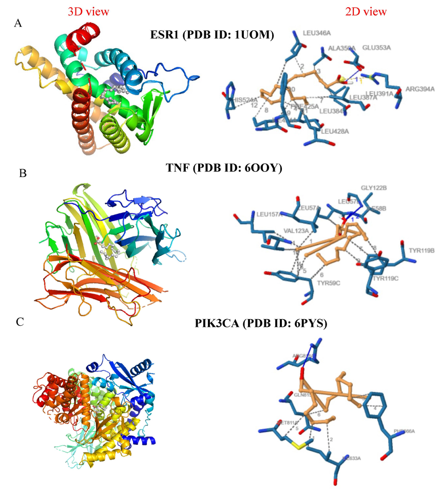 Molecular docking analysis showing the 3D and 2D interaction diagrams of the oleic acid with target proteins: (a) ESR1 (PDB ID: 1UOM), (b) TNF (PDB ID: 6OOY), and (c) PIK3CA (PDB ID: 6PYS).