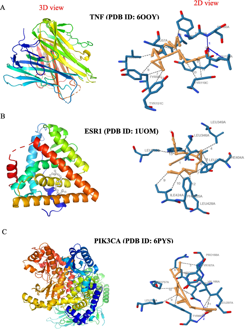 Molecular docking analysis showing the 3D and 2D interaction diagrams of the phytol with target proteins: (a) TNF (PDB ID: 6OOY); (b) ESR1 (PDB ID: 1UOM); (c) PIK3CA (PDB ID: 6PYS).