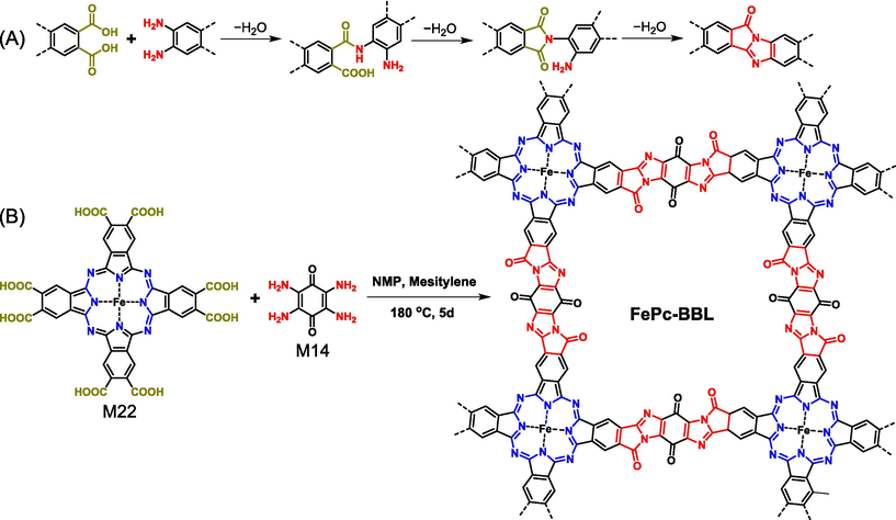 (A) Formation of BBL from equivalent aromatic-ortho-diacid and aromatic-ortho-diamine and (B) synthesis of FePc-BBL COF through the condensation of aromatic diacid and diamine.