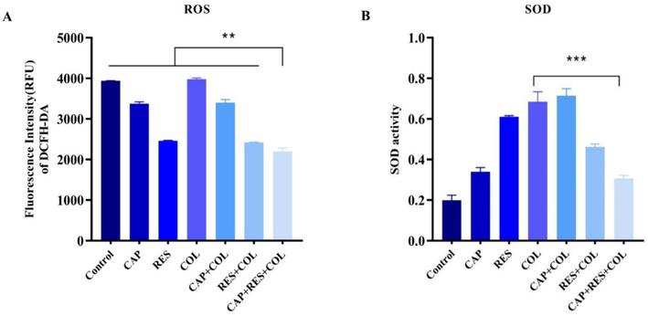 Oxidative stress of Escherichia coli HP-144 after different treatments. A, ROS levels, B, SOD activity.