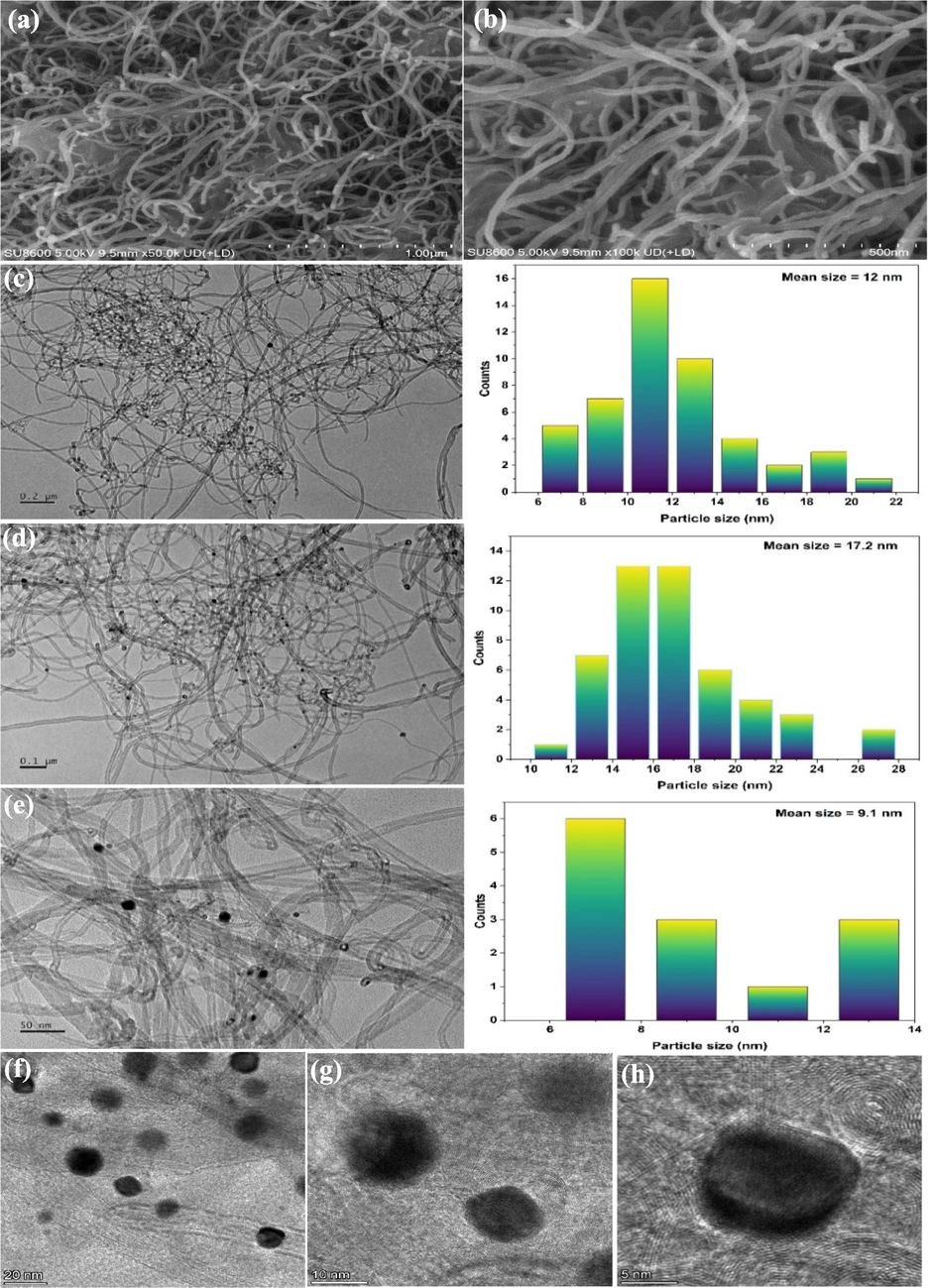 SEM images of Pt/MWCNTs at (a) 1000 nm, and (b) 500 nm; TEM images of Pt/MWCNTs at (c) 200 nm, (d) 100 nm, and (e) 50 nm; HRTEM of Pt/MWCNTs at (f) 20 nm, (g) 10 nm, and (h) 5 nm.