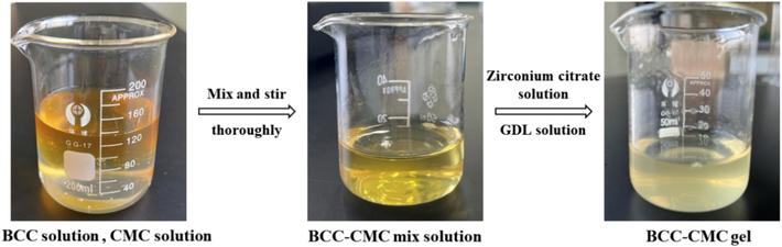 Gel formation process.