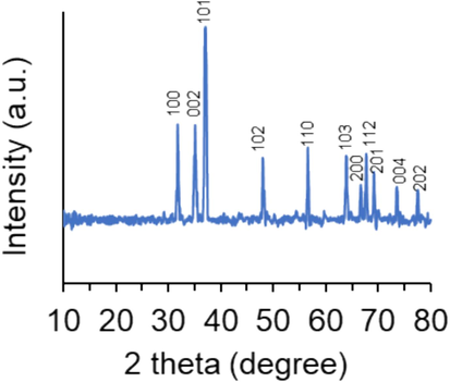 The XRD pattern of ZnO NPs prepared by the electrodeposition method.