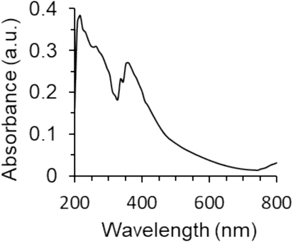 The UV–visible spectrum of ZnO NPs prepared by the electrodeposition method.
