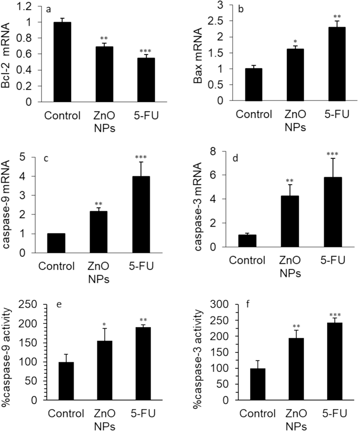 The effect of 35.40 µg/mL synthesized ZnO NPs prepared by the electrodeposition method or standard drug 5-FU (10 µM) on the (a) Bcl-2 mRNA expression, (b) Bax mRNA expression, (c) caspase-9 mRNA expression, (d) caspase-3 mRNA expression, (e) caspase-9 activity, (f) caspase-3 activity in human cervical cancer HeLa cells after 24 h. The data are expressed as mean ± SD of three experiments. *P<0.05, **P<0.01, ***P<0.001 relative to control.