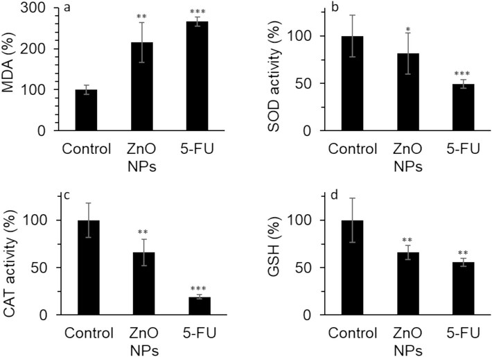 The effect of 35.40 µg/mL synthesized ZnO NPs prepared by the electrodeposition method or standard drug 5-FU (10 µM) on the (a) MDA level, (b) SOD activity, (c) CAT activity, (d) GSH content in human cervical cancer HeLa cells after 24 h. The data are expressed as mean ± SD of three experiments. *P<0.05, **P<0.01, ***P<0.001 relative to control.