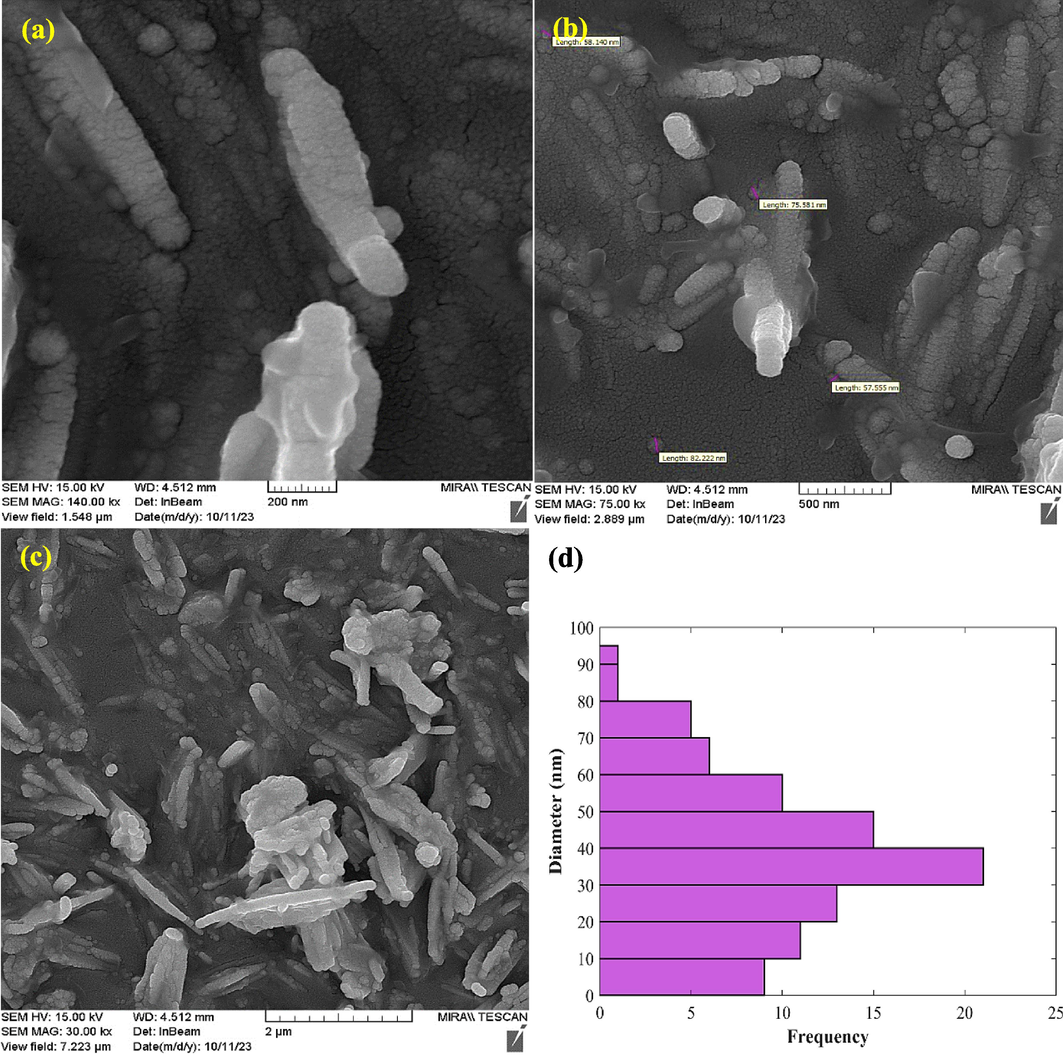 FESEM images of nanocomposite (a-c) and size distribution histogram (d).