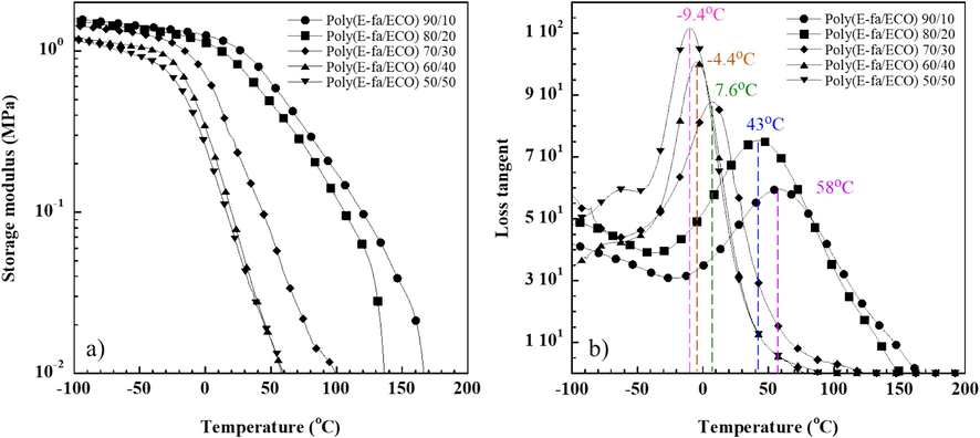 Dynamic mechanical property (a) storage modulus and (b) loss tangent of E-fa/ECO copolymer at various ECO contents.