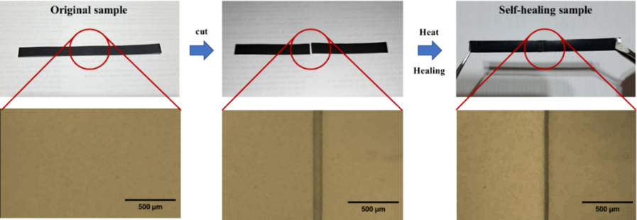 Healing test of E-fa/ECO copolymers.