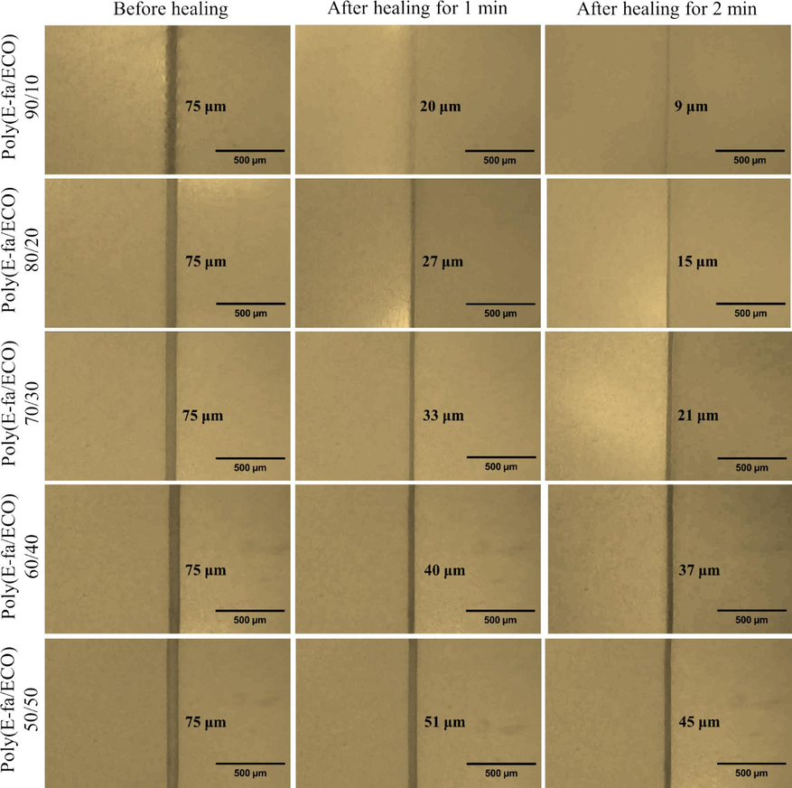 Microscopic healing process of E-fa/ECO copolymers at various ECO contents.