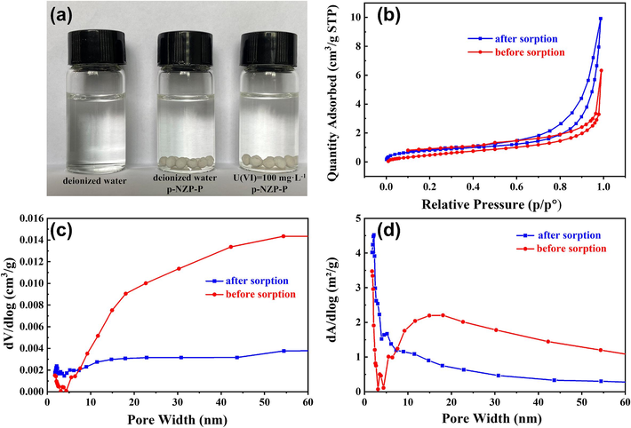 (a) The exterior of p-NZP-P after soaking in solutions for five days, (b) BET measurement of p-NZP-P, (c) dV/dlog pore volume and (d) dA/dlog pore area before and after sorption.