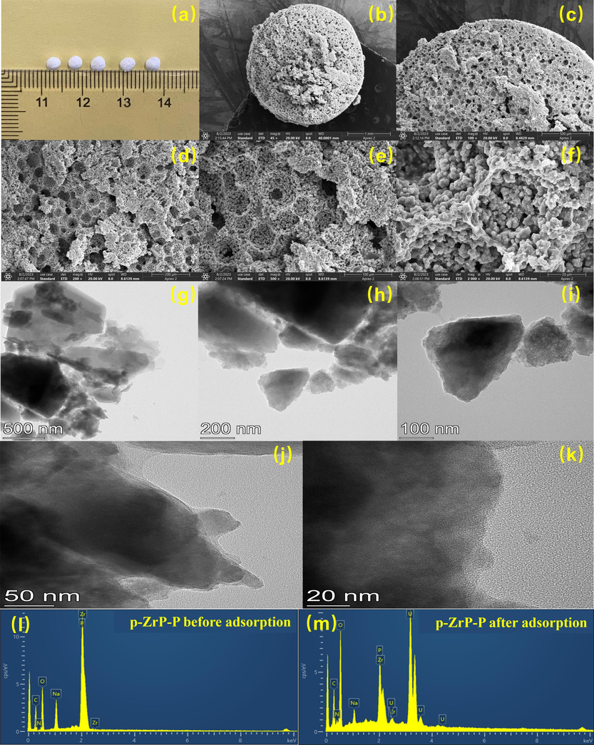 (a) p-NZP-P, (b-f) SEM images of p-NZP-P and (g-k) TEM images of p-NZP-P. EDS images of p-NZP-P (l) before and (m) after U(VI) sorption.