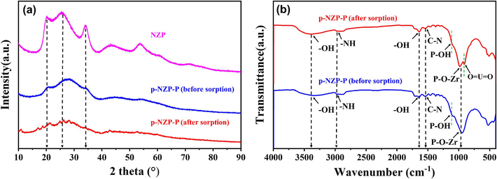 (a) XRD patterns, (b) FT-IR spectra of NZP and p-NZP-P before and after sorption.