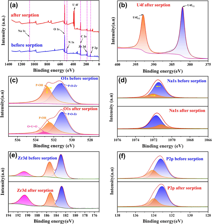 (a) XPS spectra of p-NZP-P before and after sorption, (b) U 4f, (c) O 1 s, (d) Zr 3d, (e) Na 1 s, (f) P 2p HR spectra of p-NZP-P before and after sorption.