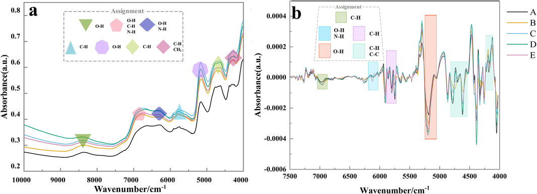 (a) RAW spectra and (b) SD pre-treatment spectra of (A) Phlebopus portentosus (B) Boletus bainiugan (C) Boletus magnificus (D) Retiboletus fuscus (E) Lanmaoa asiatica.