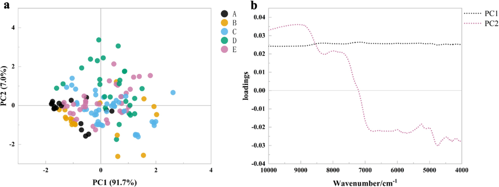 (a) PCA score plot and (b) load plot.