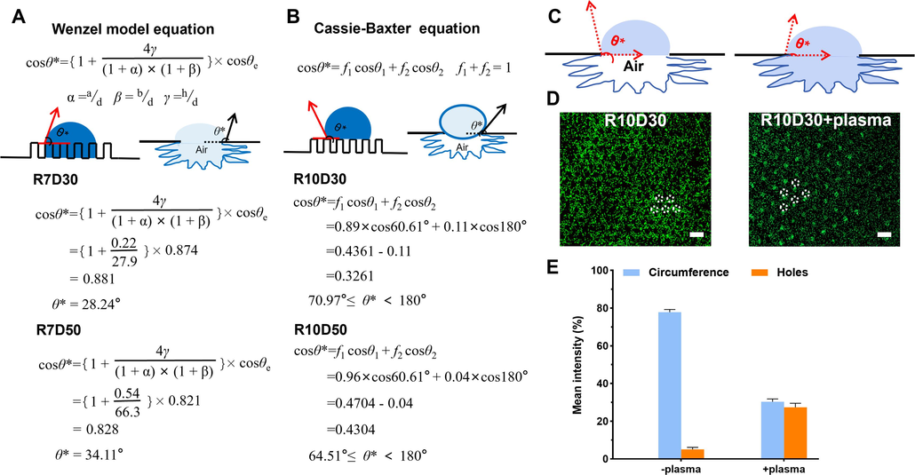 Wenzel and Cassie-Baxter models for hydrophobicity of patterned surfaces. (A) Wenzel models equation, where θe denotes the contact angle on a rough surface, a and b is the center distance, d is the diameter, and h is the depth. (B) Cassie-Baxter models equation. In these models, the surface is composed of two different components, where θ1 and θ2 denote the intrinsic contact angles of the two components, and the area fraction of total area is f1 and f2. (C) Schematic diagram of Wenzel and Cassie models. Fluoroscopic images (D) and coverage rate (E) of E. coli adhesion on the patterned silicon surface.