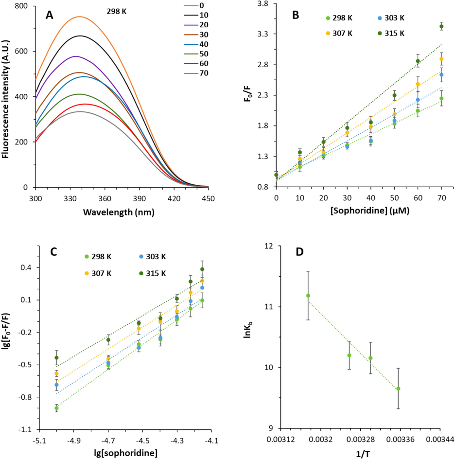 (A) Interaction of α2M and sophoridine explored by fluorescence spectroscopy at room temperature. The α2M concentration was 10 µM and added by increasing concentrations of sophoridine (10–70 µM). (B) Stern-Volmer plots of the α2M-sophoridine complex at different temperatures. (C) Modified Stern-Volmer plots of the α2M-sophoridine complex at different temperatures. (D) van Hoff's plot of the α2M-sophoridine complex at different temperatures.
