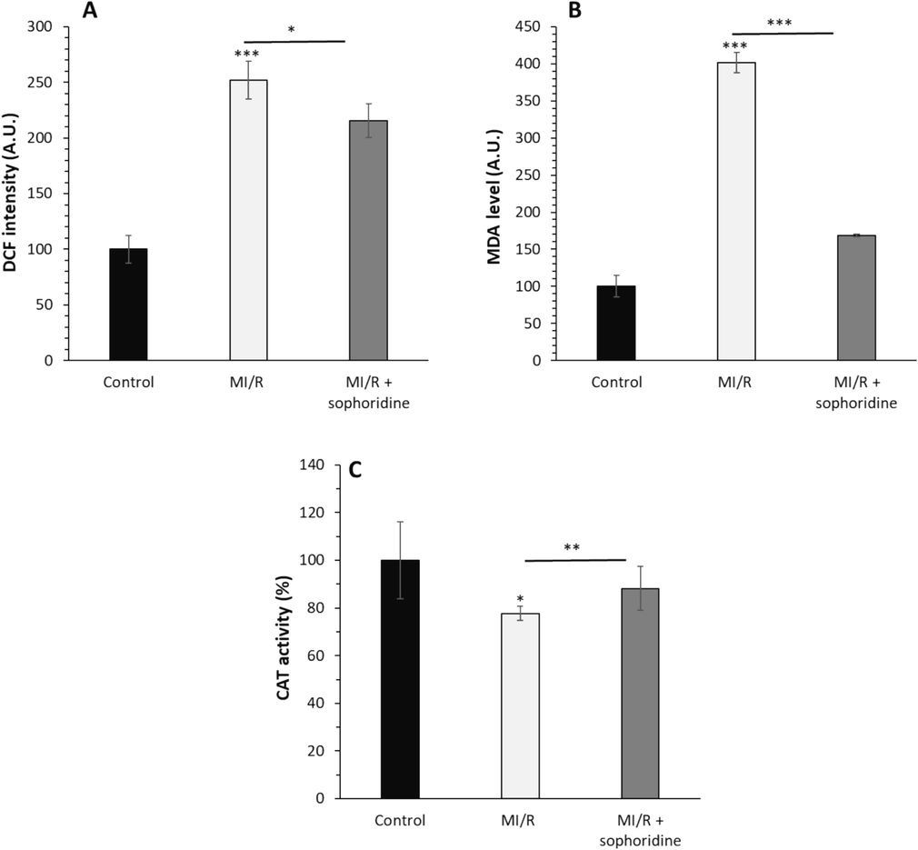 After the induction of MI/R injury in vitro, the protective effects of sophoridine (20 μM) for 2 h on oxidative stress were assessed by (A) ROS assay, (B) MDA level, (C) CAT activity assay. *P < 0.05, **P < 0.01, ***P < 0.001. The data are presented as mean ± SD of three experiments.