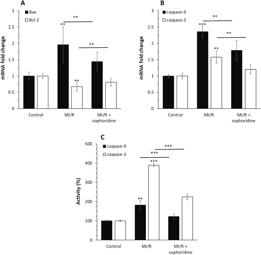 After the induction of MI/R injury in vitro, the protective effects of sophoridine (20 μM) for 2 h against apoptosis were assessed by (A) qPCR assay for expression of Bax and Bcl-2 genes, (B qPCR assay for expression of caspase-9 and caspase-3 genes, (C) caspase-9 and caspase-3 activity assay. **P < 0.01, ***P < 0.001. The data are presented as mean ± SD of three experiments.