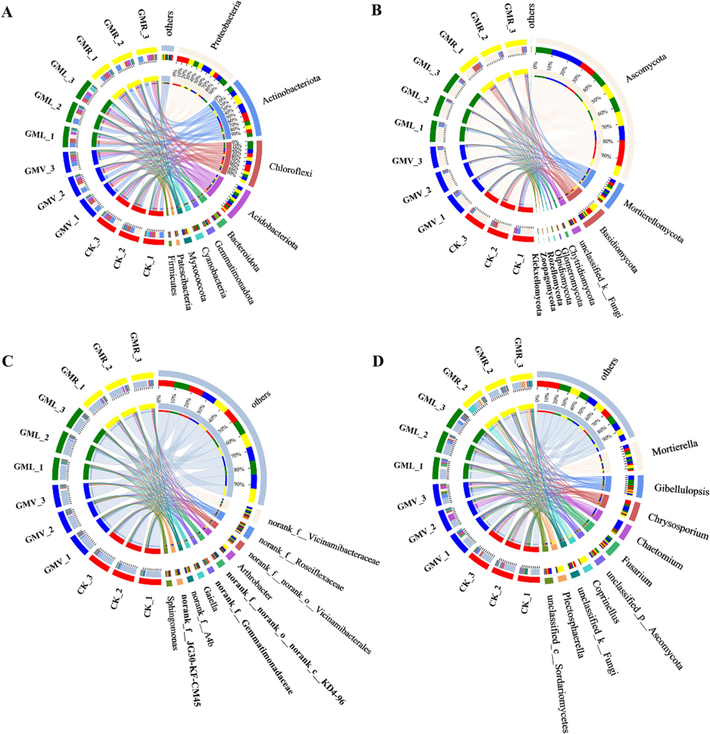 Distribution of microbial community for each sample at phylum and genus level. The data were visualized by Circos. The width of the bars from each phylum and genus indicates the relative abundance of that phylum and genus in the sample. (A), (B) phylum level; (C), (D) genus level. CK: without green manure; GMV: Vicia villosa Roth; GML: Lolium perenne L.; GMR: Raphanus stativus L.