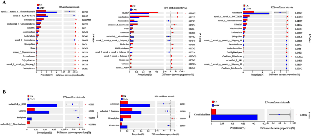 Plots showing the genera with differential abundance in soils with GMV, GML and GMR comparing the CK. (A) bacteria;(B) fungal. P-values were calculated based on Welch’s t-test with Benjamini-Hochberg correction (p < 0.05). CK: without green manure; GMV: Vicia villosa Roth; GML: Lolium perenne L.; GMR: Raphanus stativus L.