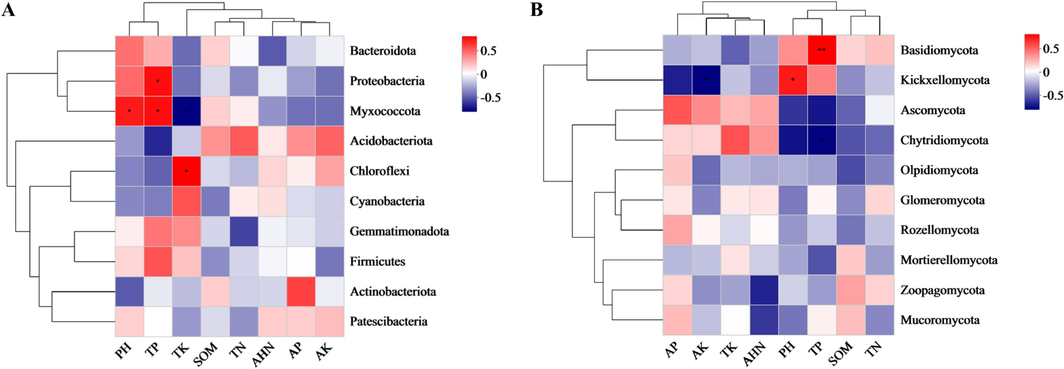 The correlation heatmap analysis between environmental factors and species of bacterial by Bray-Curtis distances. (A) bacteria; (B) fungi. TP: total phosphorus.