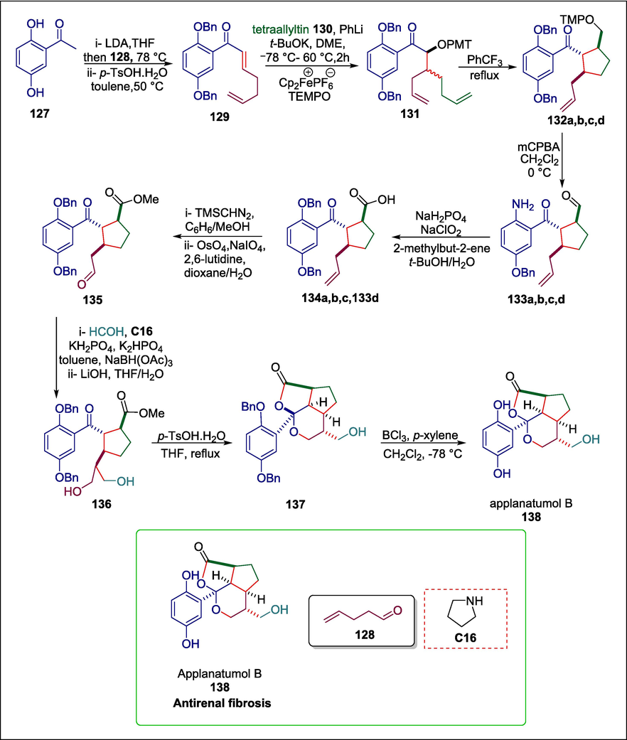 Pyrrolidine catalyzed synthesis of applanatumol B.