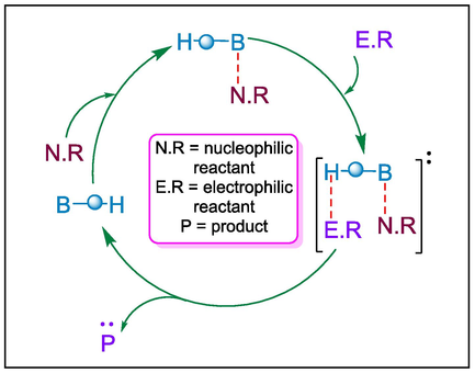 Mechanism of bifunctional organocatalysis.