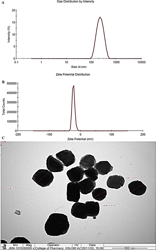 Evaluated parameters of the optimized TM-19 loaded elastic liposomes (TF1). (A) Vesicle size distribution, (B) Zeta potential, and (C) representative photomicrograph of transmission electron microscopy at 60000X magnification and 80 kV voltage.