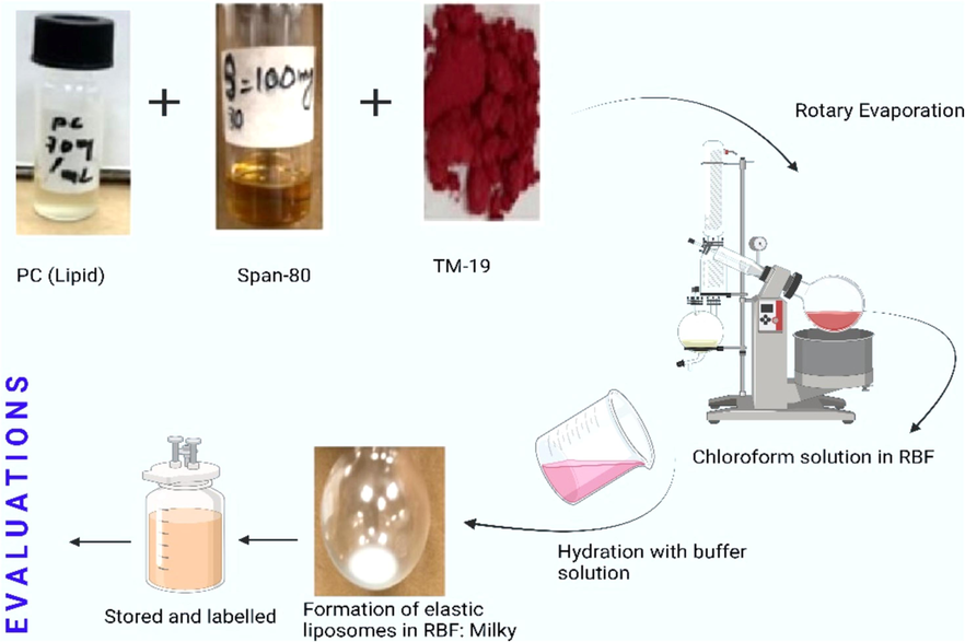 Schematic representation of adopted method for the preparation of elastic liposomes.