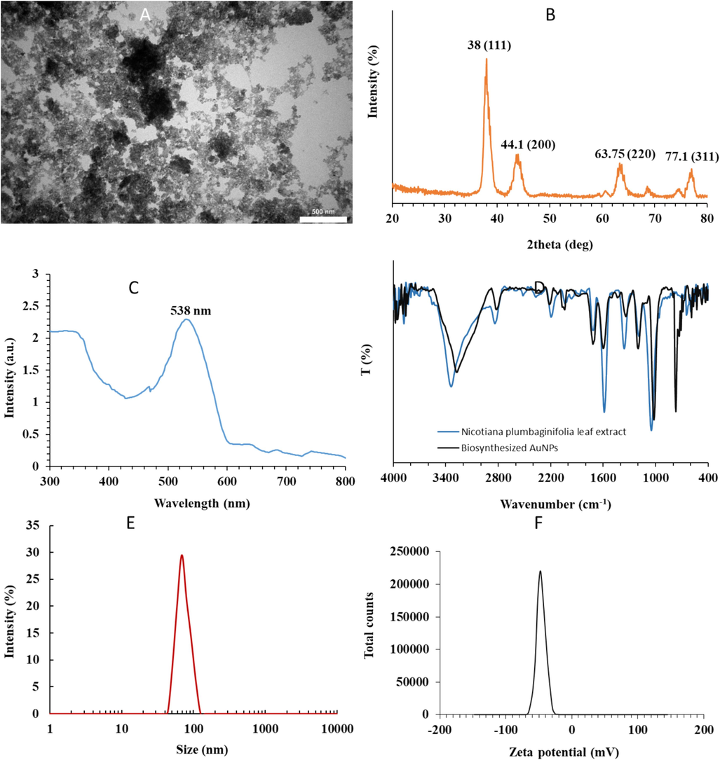 Cauterization of synthesized AuNPs through green chemistry method. (A) TEM, (B) XRD, (C) UV–Vis, (D) FTIR, (E) DLS, (F) Zeta potential measurements.