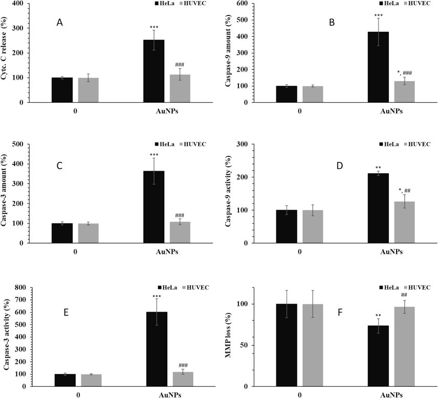 The effects of 1.5 µM greenly synthesized AuNPs on the (A) Cyt. C release, (B) caspase-9 amount, (C) caspase-3 amount, (D) caspase-9 activity, (E) caspase-3 activity, (F) MMP loss in human cervical cancer HeLa cells and human umbilical vein endothelial cells (HUVECs) after 24 h. *P < 0.05, **P < 0.01, ***P < 0.001 compared to control. ##P < 0.01, ###P < 0.001 compared to HeLa cells.