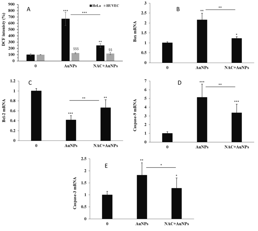 (A) The effects of 1.5 µM greenly synthesized AuNPs alone or with NAC on the ROS generation in human cervical cancer HeLa cells and human umbilical vein endothelial cells (HUVECs) after 24 h. The effects of 1.5 µM greenly synthesized AuNPs alone or with NAC on (B) Bax mRNA, (C) Bcl-2 mRNA, (D) caspase-9 mRNA, (E) caspase-3 mRNA in human cervical cancer HeLa cells after 24 h. *P < 0.05, **P < 0.01, ***P < 0.001 compared to control. $XXX$P < 0.01, $XXX$XXX$P < 0.001 compared to HeLa cells.