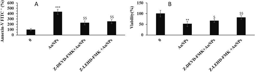 The effects of 1.5 µM greenly synthesized AuNPs alone or in combination with specific caspase-9 inhibitor Z-LEHD-FMK or specific caspase-3 inhibitor Z-DEVD-FMK on (A) apoptosis, (viability) of human cervical cancer HeLa cells after 24 h. **P < 0.01, ***P < 0.001 compared to control. $P < 0.05, $XXX$P < 0.01 compared to HeLa cells.