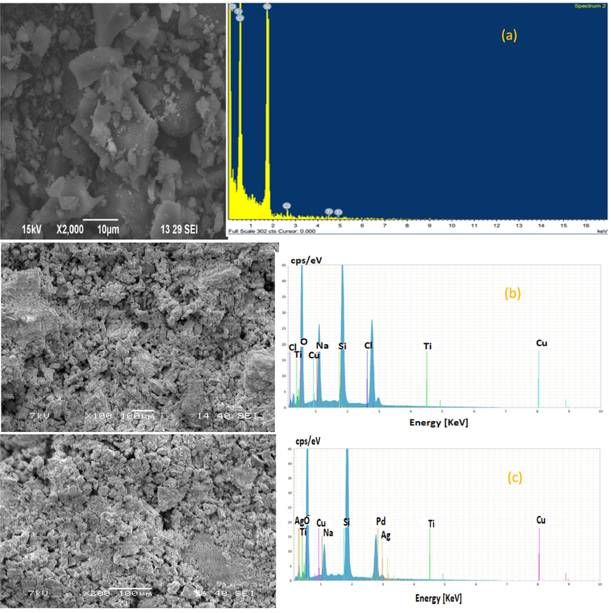 SEM/EDX image. (a) silica gel (b) TMCS MSG with APD (c) MSG supported AgNPs.