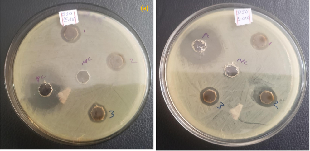 Zone inhibition of (a and b) E. coli and (c and d) S. aureus against MSG supported AgNPs.