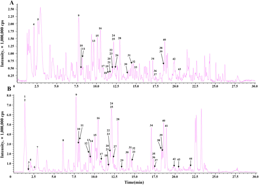 Typical total ion chromatograms (TICs) of EMF by LC–IT–TOF–MS. (A) positive mode; (B) negative mode.