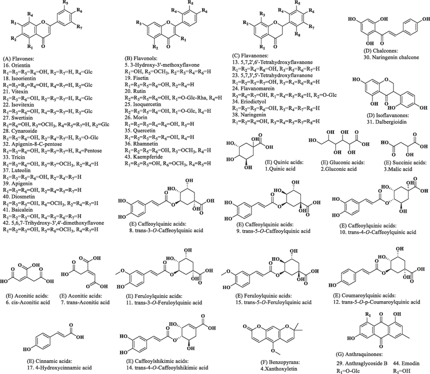 Chemical structures of the 44 identified compounds.