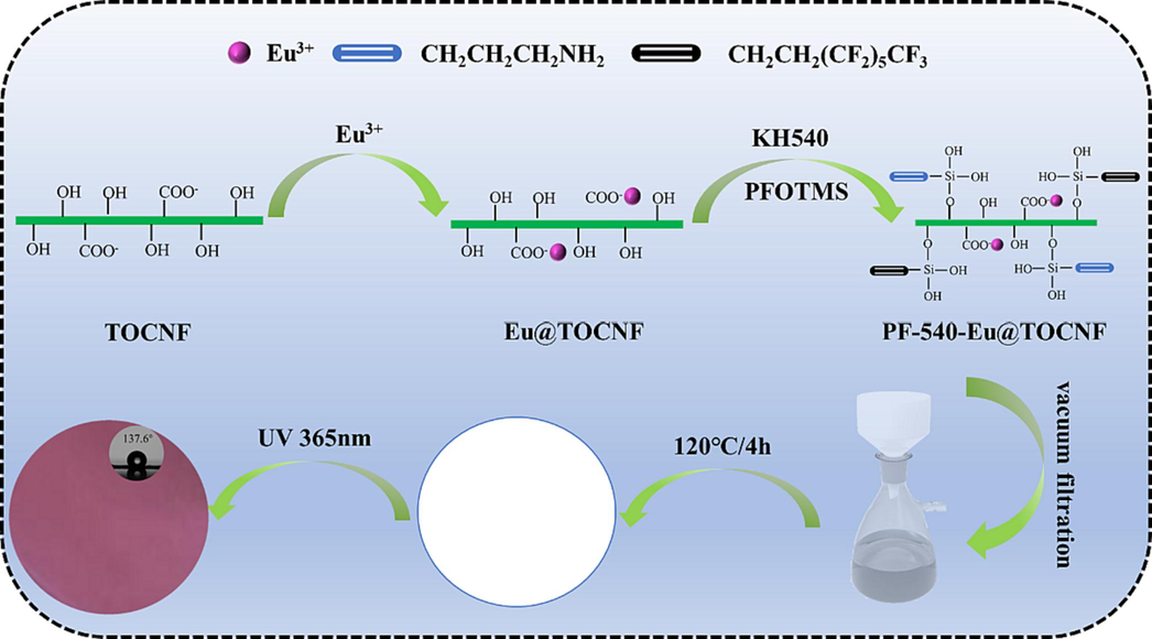 Schematic diagram for the fabrication of hydrophobic and photoluminescent PF-540-Eu@TOCNF films.